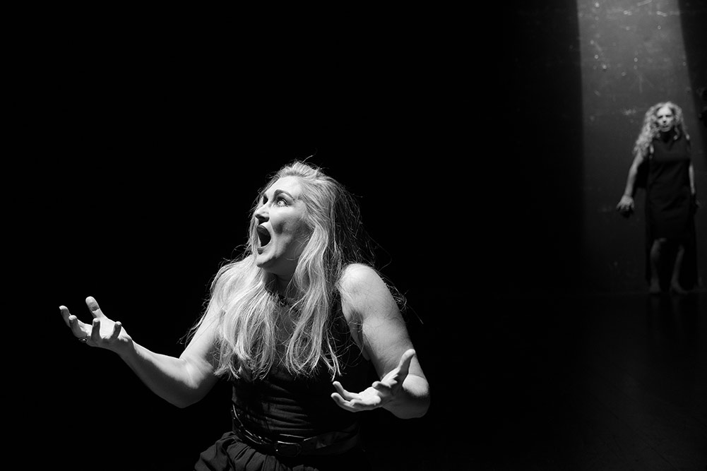 Walking Shadow Ensemble