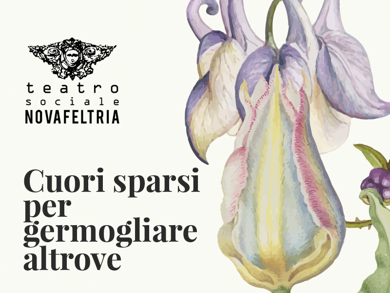 Cuori sparsi per germogliare altrove